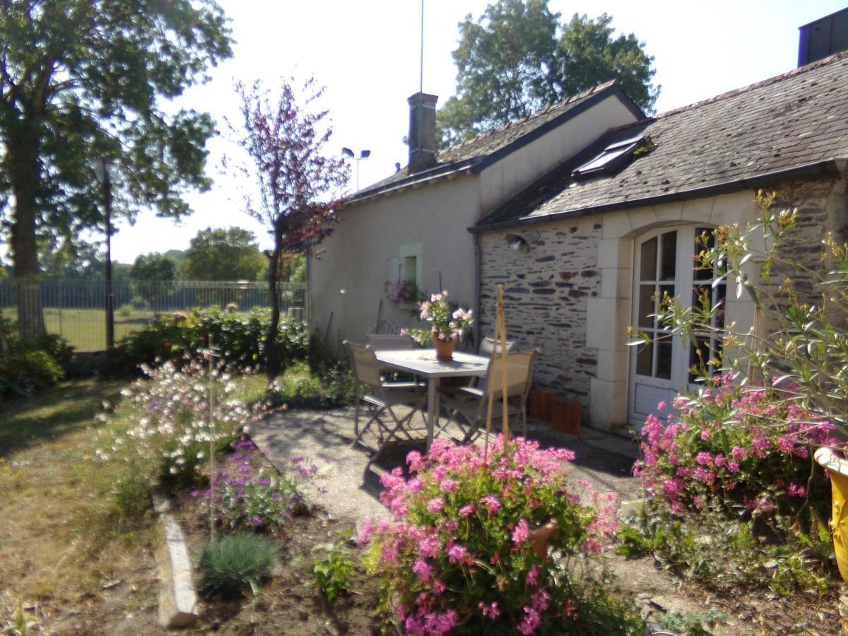 Gite De Bellerive Sainte-Gemme-sur-Loire Eksteriør billede